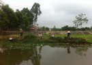Sáng ngày 20/4/2018 Hội cựu chiến binh xã Hoằng Lương phối hợp với các tổ chức đoàn thể chính trị tổ chức vớt bèo, vớt rác bảo đảm vệ sinh dòng chảy kênh mương sông Ấu.